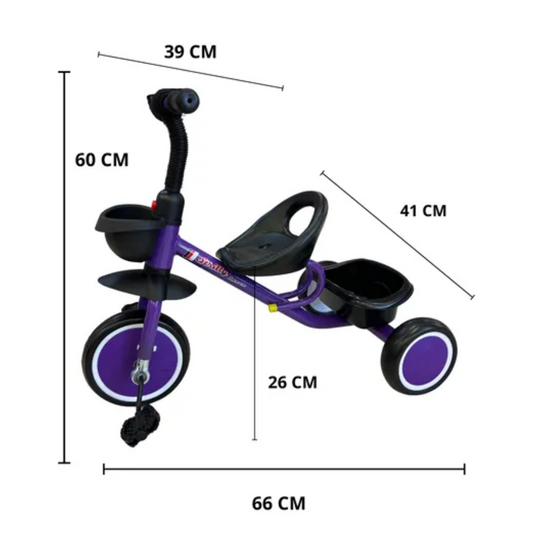 Triciclo Infantil Reforzado Con Canasto 1669-RS