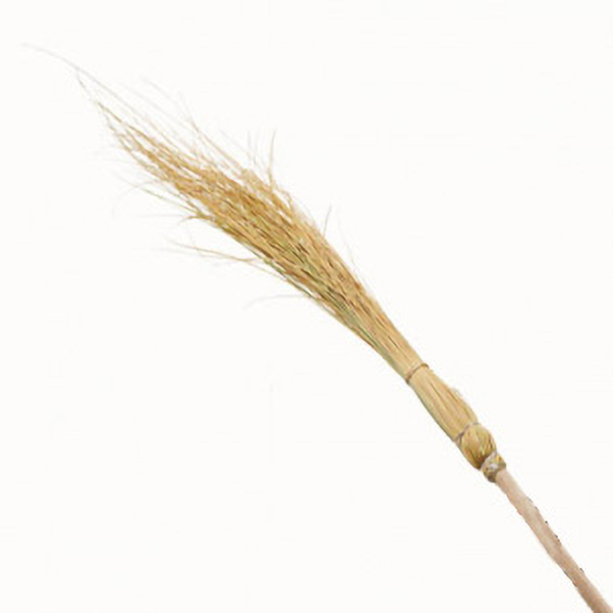Escoba De Bruja
