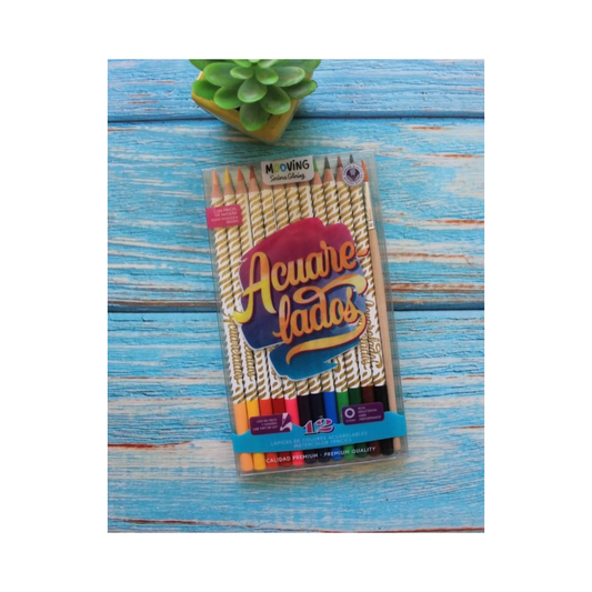 Lápices De Color Acuarelables Coloring 12 Unidades
