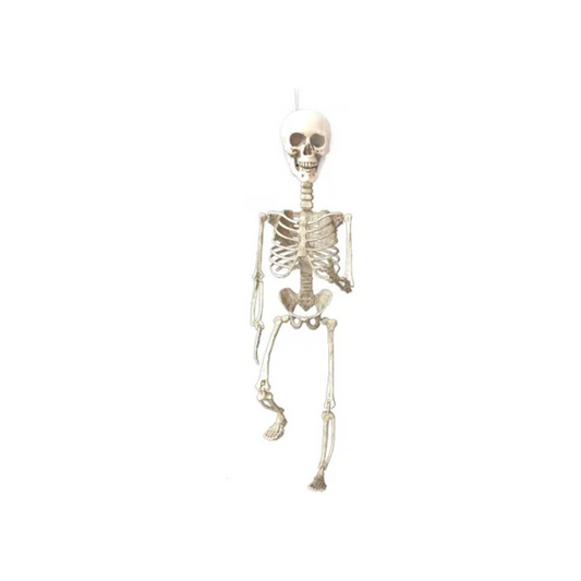 Calavera Esqueleto Articulado de Cartón 135 cm Halloween (x1)
