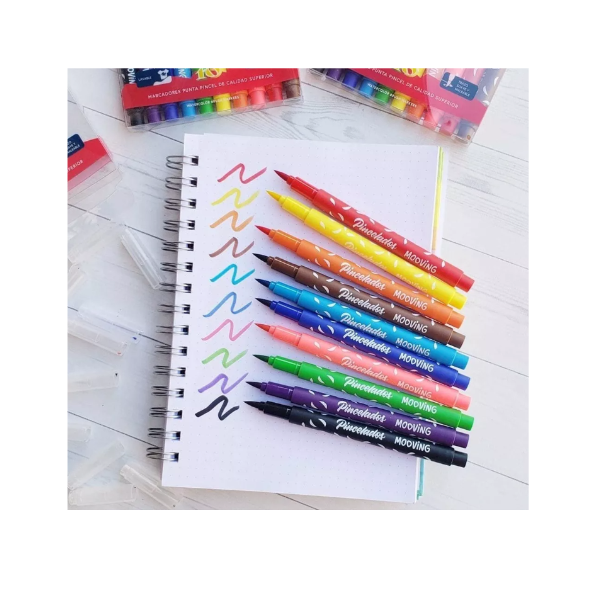 Marcadores Punta Pincel 10 Unidades Coloring