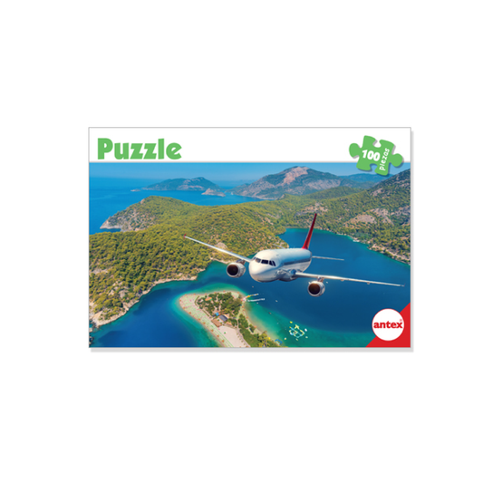 Puzzle 100 Piezas Surtido Antex