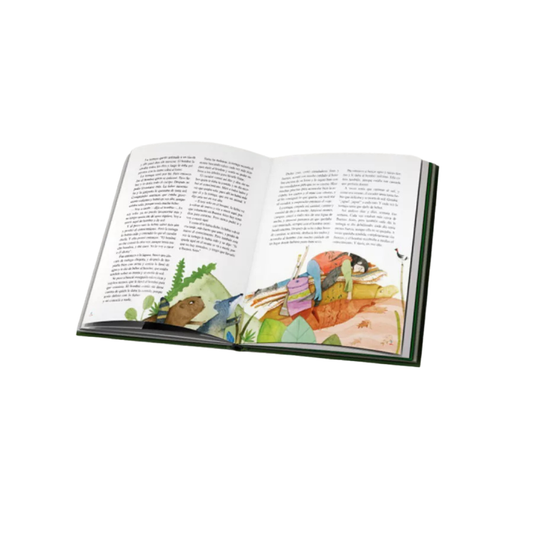 Libro Cuentos De La Selva Sigmar