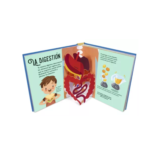 Libro Cuerpo Humano Pop-up Guadal