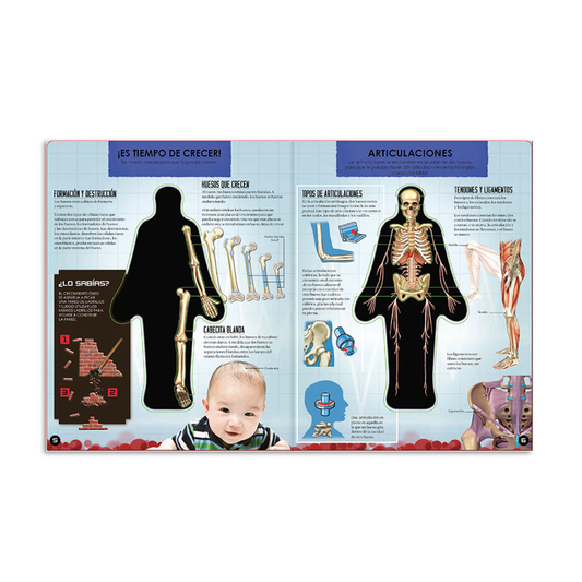 Libro Miremos Dentro Del Cuerpo Humano Catapulta