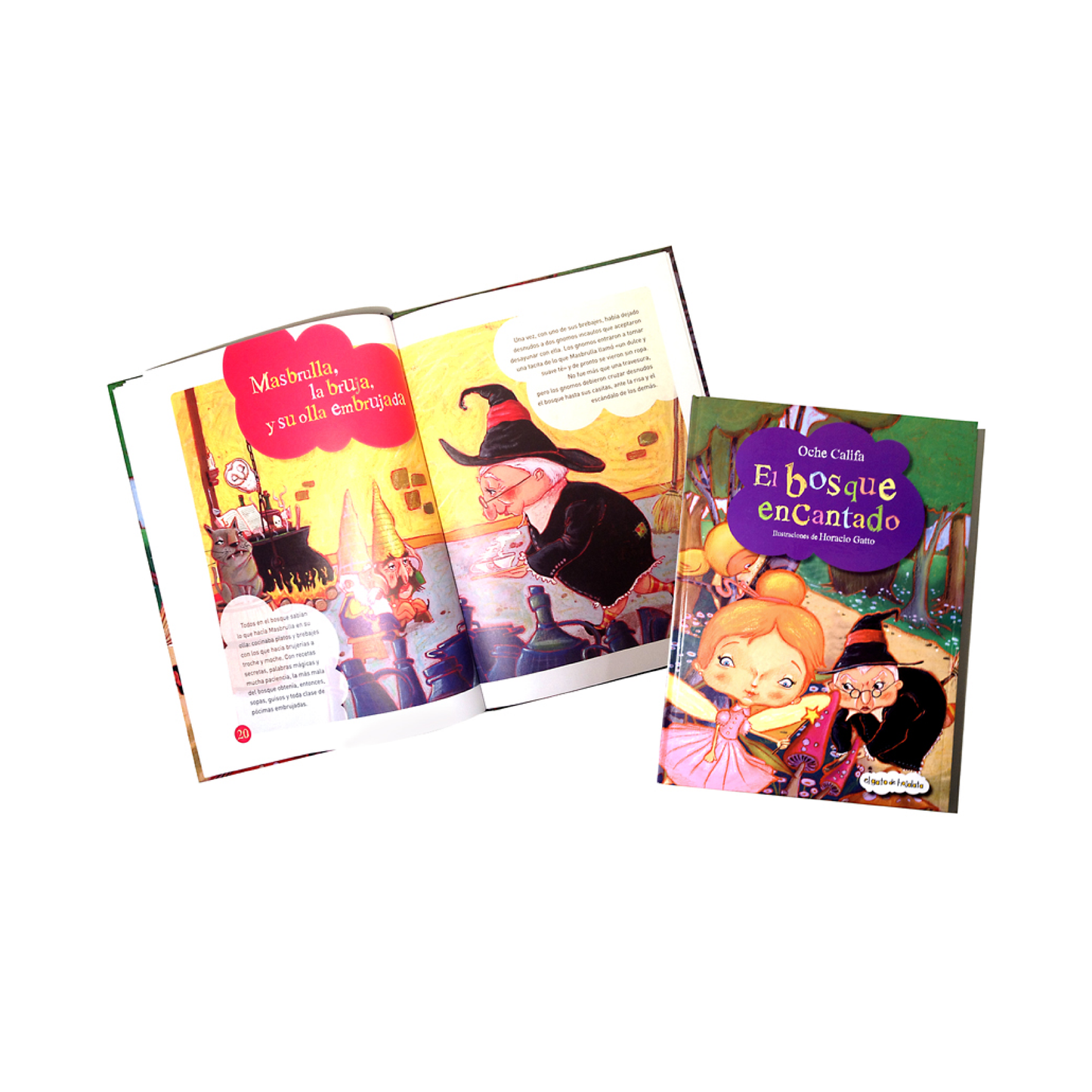 Libro El Bosque Encantado Atrapacuentos Guadal