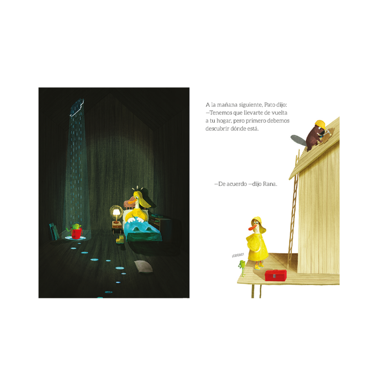 Libro El Pato Al Que No Le Gustaba El Agua Catapulta