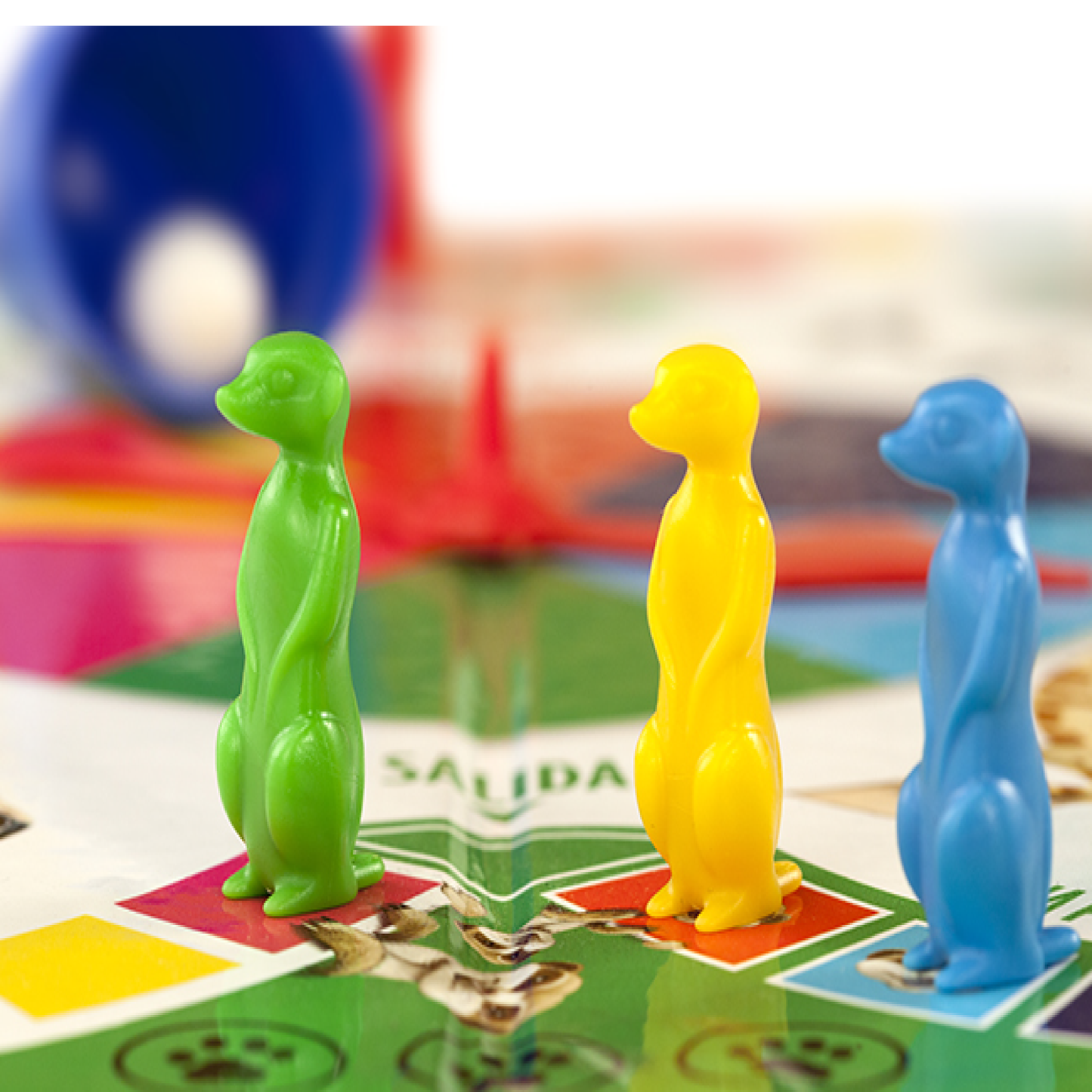 Juego de Mesa Bicho Veo Ruibal