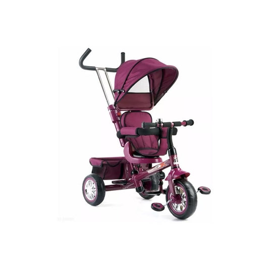 Triciclo Confort - Bordo