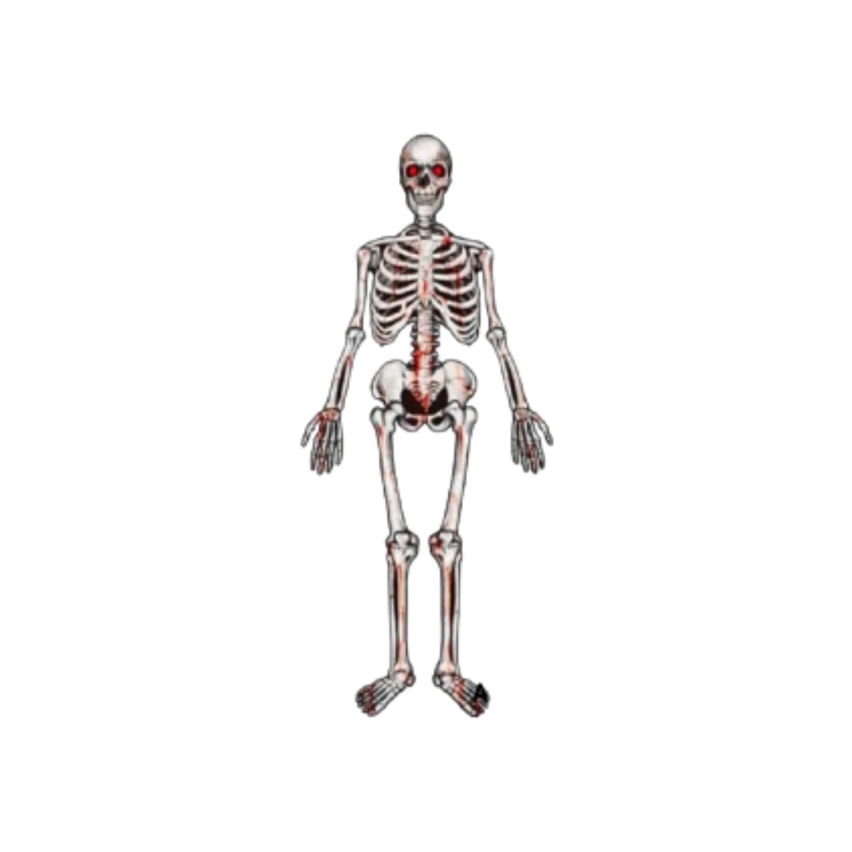 Calavera Esqueleto Articulado de Cartón 135 cm Halloween (x1)