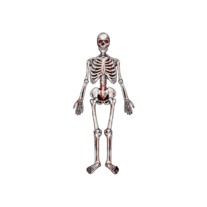 Calavera Esqueleto Articulado de Cartón 135 cm Halloween (x1)