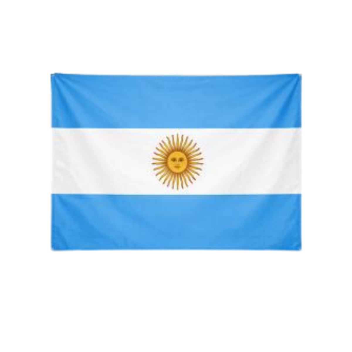 Bandera Tela Argentina - Vista 1