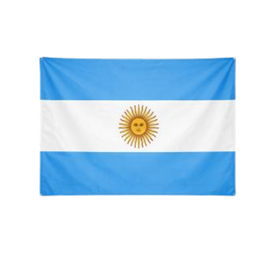 Bandera Tela Argentina - Vista 1
