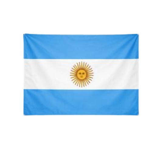 Bandera Tela Argentina - Vista 1