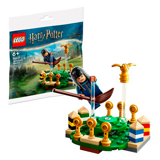 Lego Harry Potter Quidditch Practice