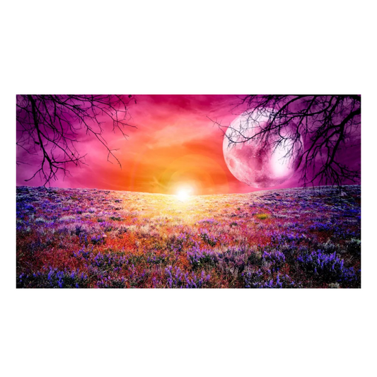 Rompecabezas Campo De Flores 1000 Piezas