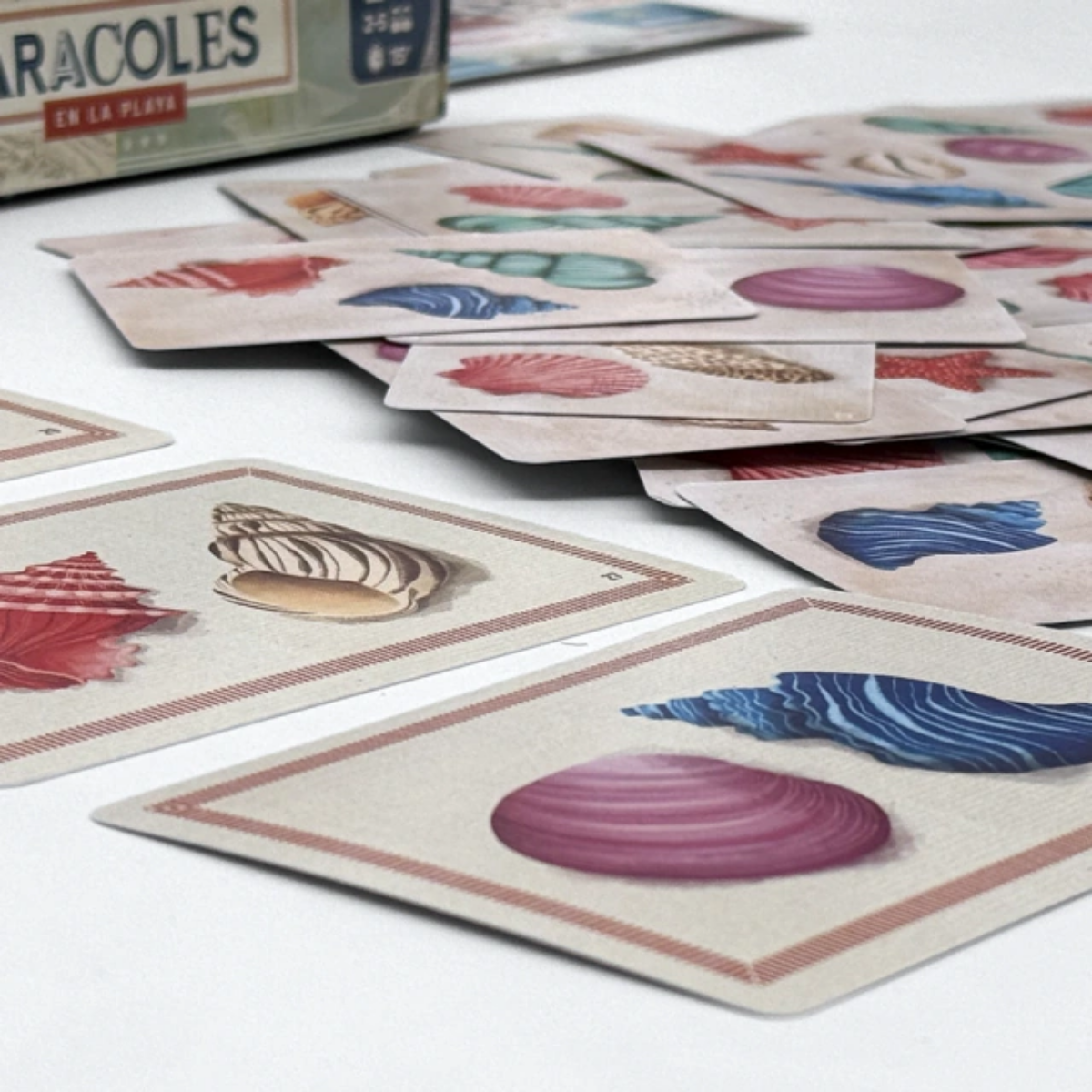 Juego de Mesa Caracoles en la Playa