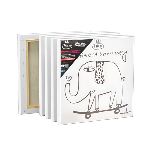 Bastidor 30x30 Milo 008