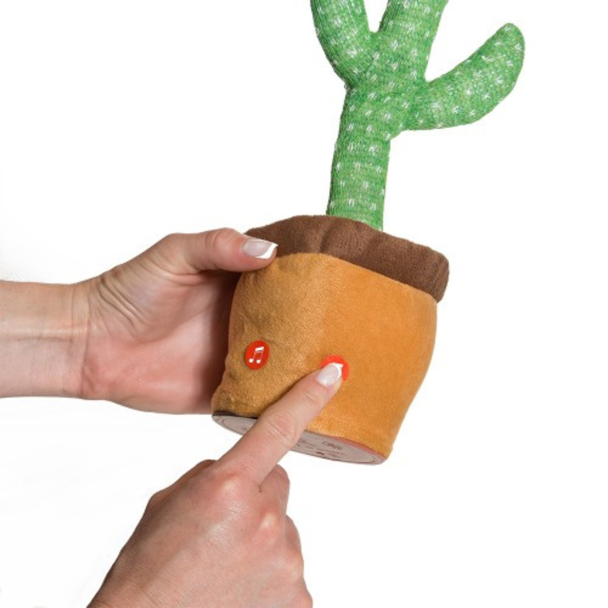 Cactus Bailarín Baby First