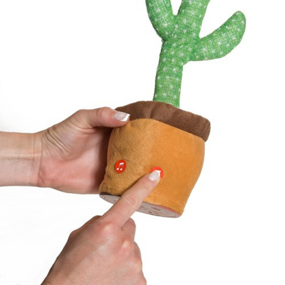 Cactus Bailarín Baby First