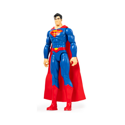 Figura Articulada DC 30 Cm Surtidos