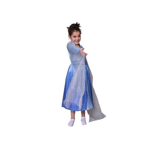 Disfraz Elsa Frozen Gala T.2