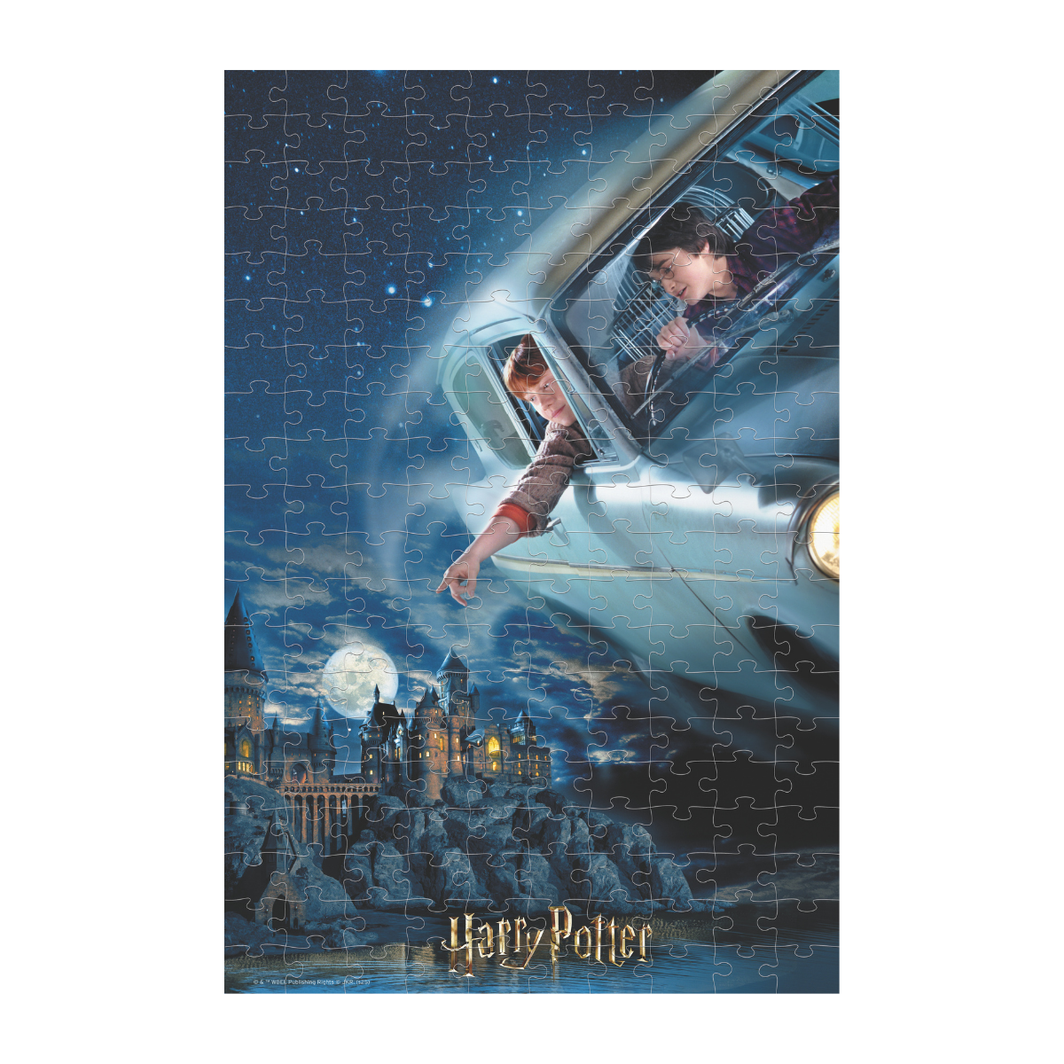 Rompecabezas Harry Potter & Ron 300 piezas Lenticular
