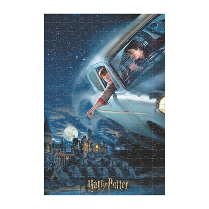 Rompecabezas Harry Potter & Ron 300 piezas Lenticular