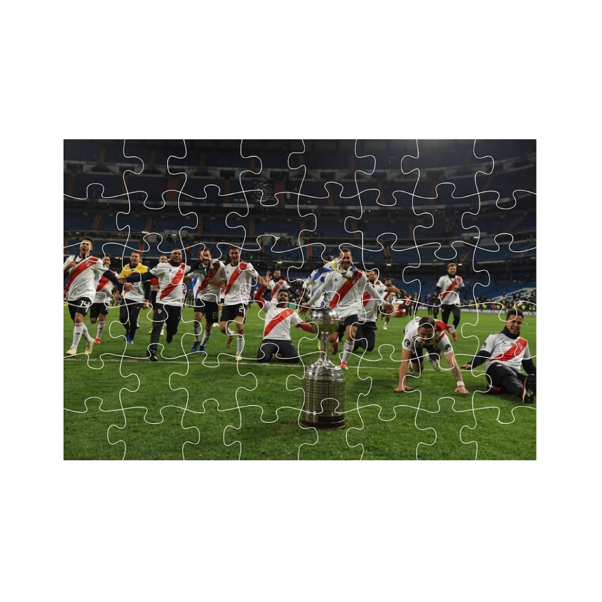 River Puzzle Festejo de Campeones - 48 Piezas