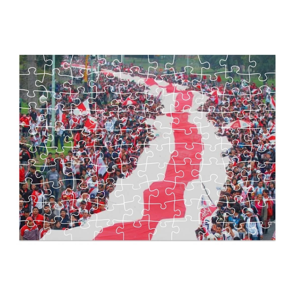 River Puzzle Banderazo - 100 Piezas