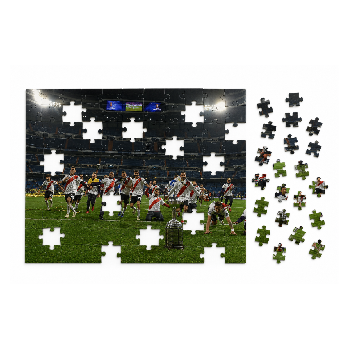 River Puzzle Festejo de Campeones - 48 Piezas