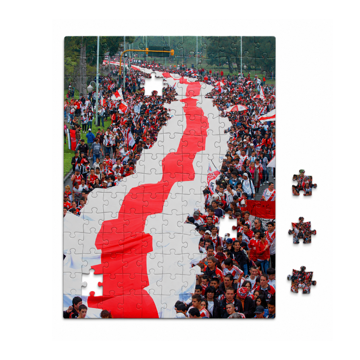 River Puzzle Banderazo - 100 Piezas