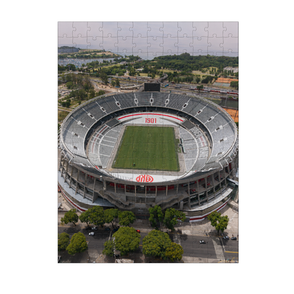 River Puzzle El Monumental - 500 piezas