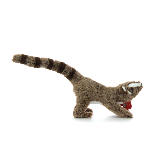 Peluche Coatí 23 Cm PhiPhiToys