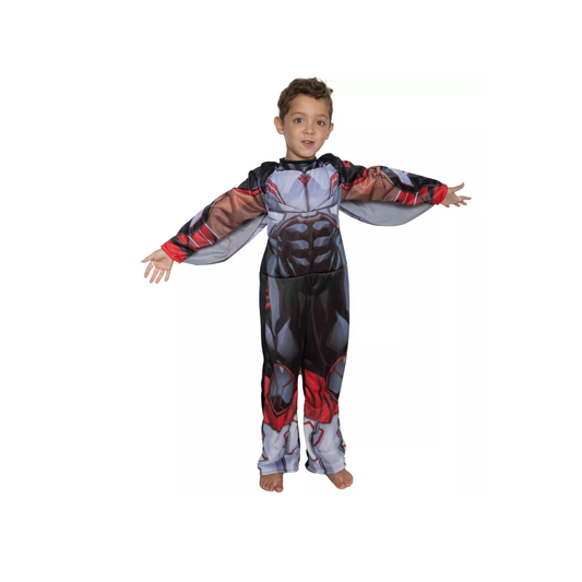 Disfraz Falcon T.0