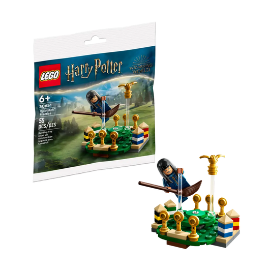Lego Harry Potter Quidditch Practice
