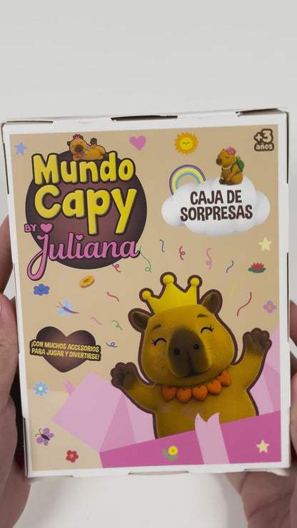 Caja De Sorpresa Mundo Capy By Juliana