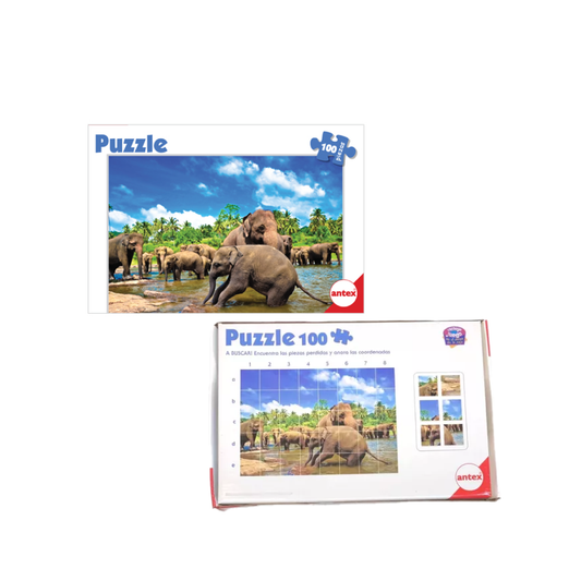 Puzzle 100 Piezas Surtido Antex